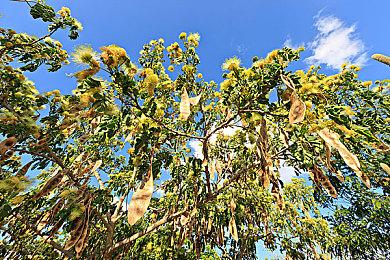 Xbox公开《星空》三段故事背景动画预告