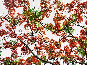 开发商承认《收获日3》表现不佳 仍将努力重振游戏