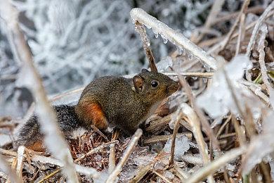 《赵云传重制版》将参加2月Steam新品节 后续内容开发中
