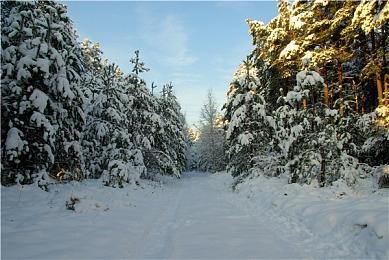 《命运2》x《龙与地下城》联动宣布 6月5日上线